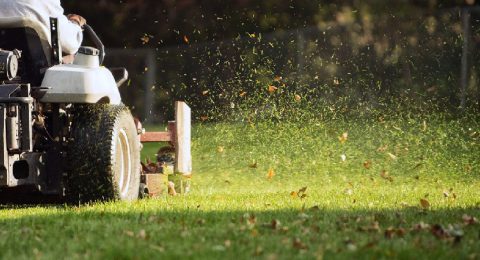 Commercial and residential lawn care, grass cutting | Precision Lawn Care