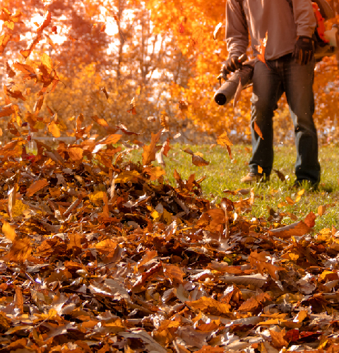 Fall Clean Up Services from Precision Lawn Care