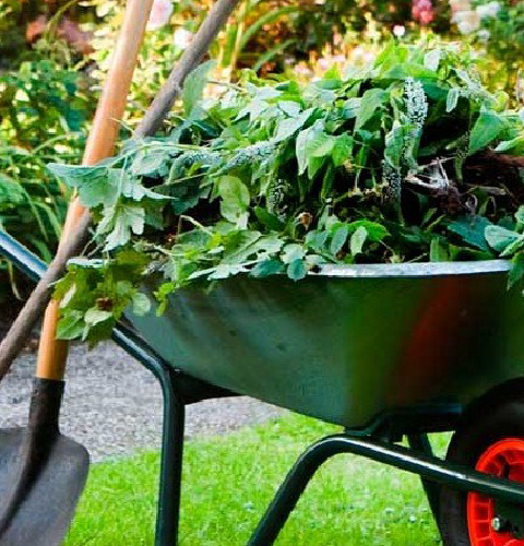 Gardening Clean Up Services from Precision Lawn Care