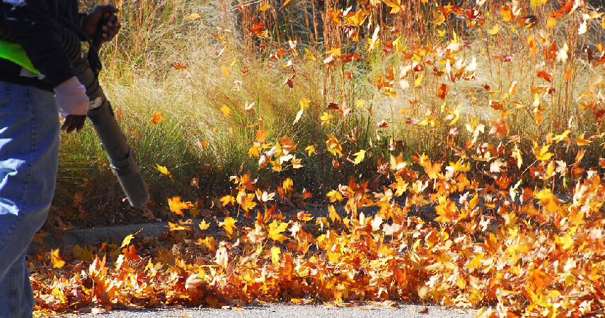 Fall Clean Up, Leaf Removal Services from Precision Lawn Care