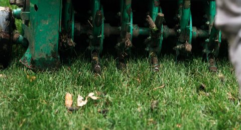 Core Aeration Services | Precision Lawn Care