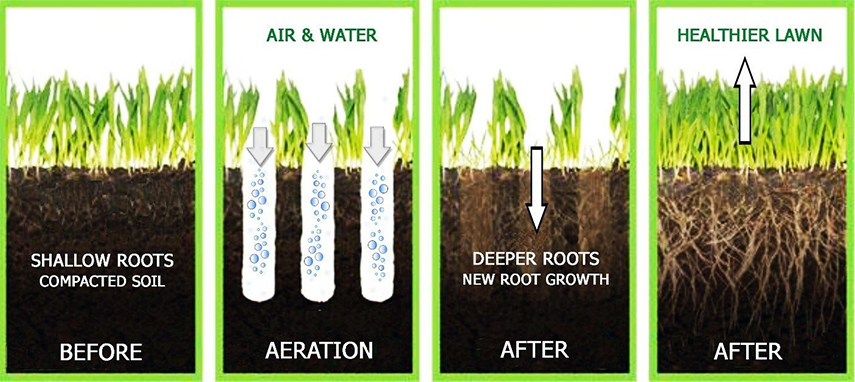 Core Aeration Benefits | Precision Lawn Care