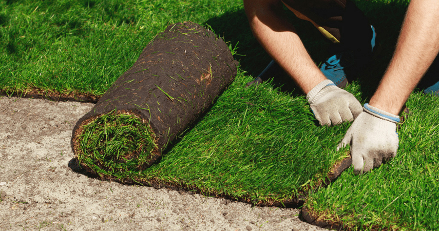 Sod Lawn Installation | Precision Lawn Care